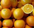 Биотопливо из апельсинов